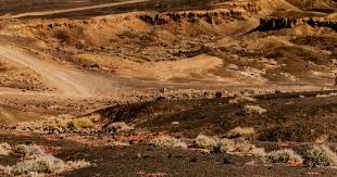 首次公开 ｜《星际裂变》合作模式实机演示首次公开